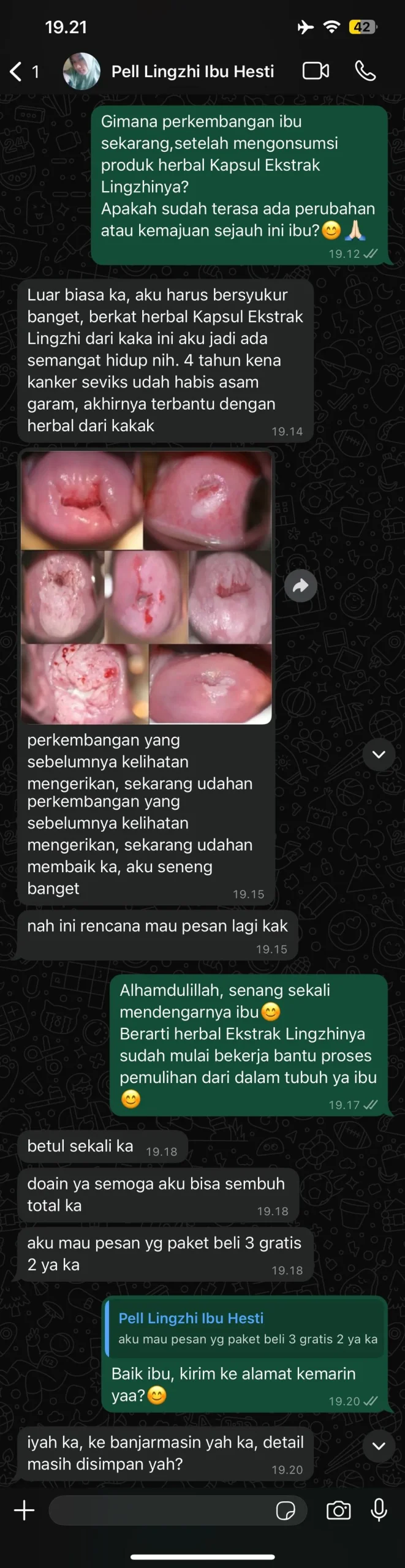 testimoni ektrak lingzhi b